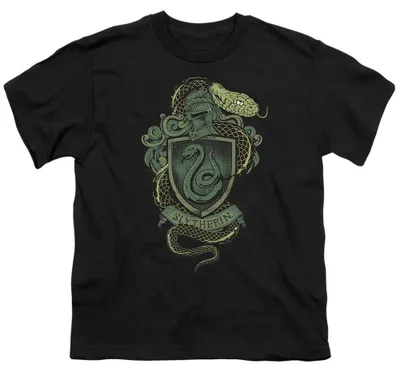 Immagine prodotto di Maglietta per bambini di Harry Potter, modello TV36230 (taglia 128), colore nero