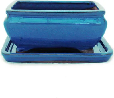 Immagine prodotto di Ciotola bonsai con piattino Gr. 2 - blu - quadrato - modello G81 - L 14,5 cm - P 11,3 cm - H 6,6 cm