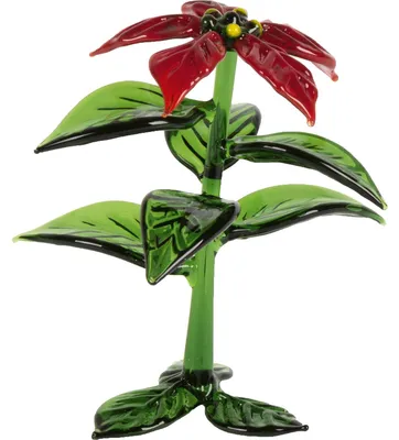 Immagine prodotto di "Glasblume" – "Stella di Natale".
