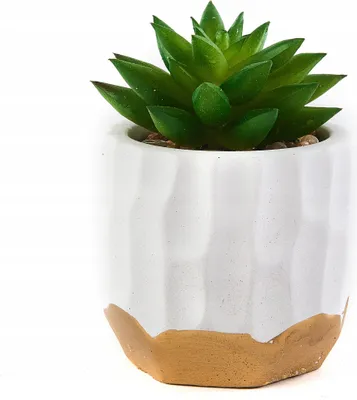 Produktbild von Künstliche Sukkulente im weißen Topf 13cm Kunstpflanze Realistisch Deko Büro Wohnzimmer