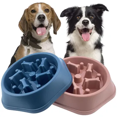 Slow Feeder Napf für Hunde – Anti-Schling, rutschfest, 24×22,5×5 cm