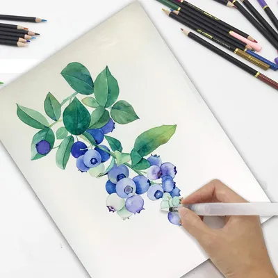 Produktbild von Professionelles Aquarellstift-Set – 72 Farbstifte für Erwachsene und Kinder – Perfekt für Künstlerkunst und Malbücher
