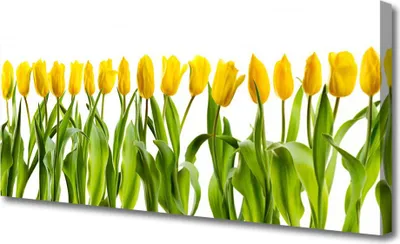 Produktbild von Tulup Leinwand-Bilder 125x50 Wandbild Canvas Kunstdruck Tulpen Pflanzen