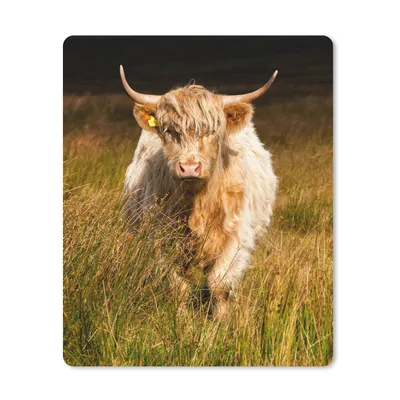 Produktbild von MuchoWow® Mauspad Mousepad Schottischer Highlander - Leicht - Gras 30x40 cm - Mousepads - Maus Mat - Pad - Mausunterlage - Mausmatten
