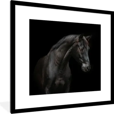 Produktbild von MuchoWow® MuchoWow® Gerahmtes Poster Pferd - Tier - Schwarz 40x40 cm - Poster mit zchwarzem Bilderrahmen - Poster - Plakat im Rahmen
