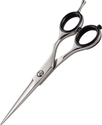 Produktbild von Iwasaki Master Professionelle Friseurschere mit 5 Zoll Klinge und Offset-Griff
