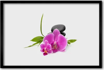 Produktbild von Bild 60x40 MDF-Rahmen Wandkunst Stein Blume Pflanze
