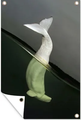 Produktbild von MuchoWow®