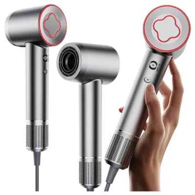 Produktbild von Awei Haartrockner Ds-1 Laublos Grau/Grau
