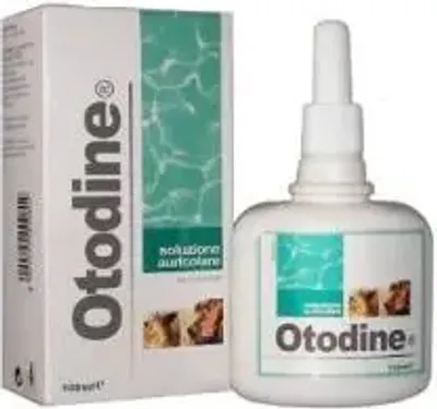 Produktbild von Otodine 100ml