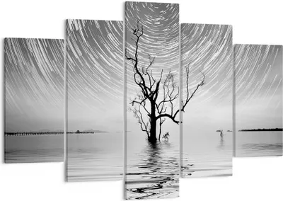 Produktbild von Bild auf Leinwand - Leinwandbild - 5 Teile - Schwarzweiß Baum See - 150x100cm - Wand Bild - Wanddeko - Wandbilder - Leinwanddruck - Bilder - Wanddekoration - Leinwand bilder - EA150x100-4253