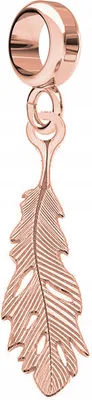 Productafbeelding van Charm met veer, vergulde vogelveer, decoratieve veer, zilver 925