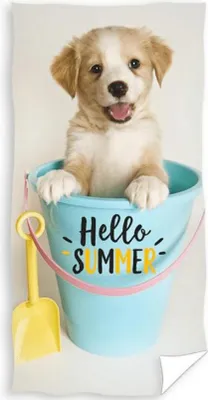 Produktbild von Hundebadetuch Sommer - 70 x 140 cm
