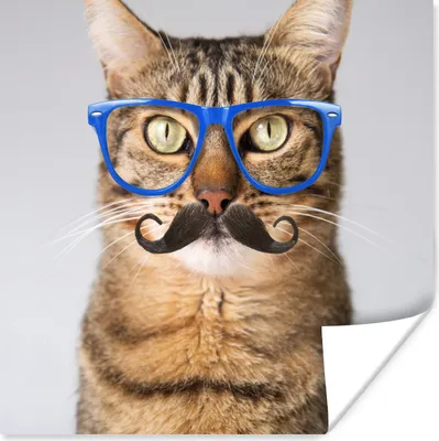 Produktbild von MuchoWow® Poster Katze - Brille - Schnauzbart - Hipster 160x120 cm - Foto Plakat