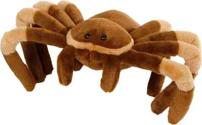 Productafbeelding van Jungle-expeditie pluche knuffel, 2 stuks, 27 cm