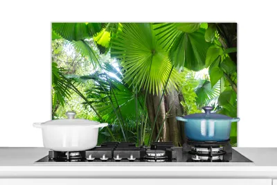 Produktbild von KitchenYeah®  Spritzschutz Küche - Küchenrückwand - Wandschutz für Herd und Spüle - Tropischer Regenwald 80x55 - Alu-Dibond (Alternative zum Spritzschutz aus Glas) - Hitzebeständig - Herdspritzschutz