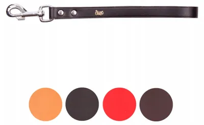Produktbild von Dingo CLASSIC Leder Kurzleine für Halsband schwarz