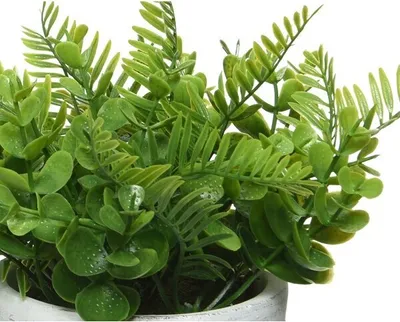 Immagine prodotto di Pianta artificiale in vaso di Vetroceramica a nido d'ape 23cm bianco verde 1 pezzo assortito.
