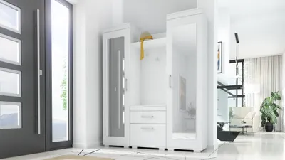 Entrance hall with a white wardrobe and a dark gray door.