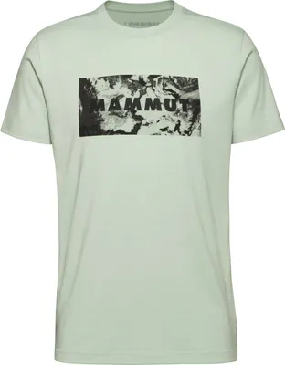 Produktbild von Mammut Trovat T-Shirt Logo silver sage 2XL