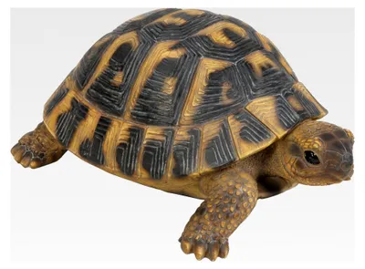 Produktbild von Griechische Landschildkröte aus Kunstharz, Gartendekoration
