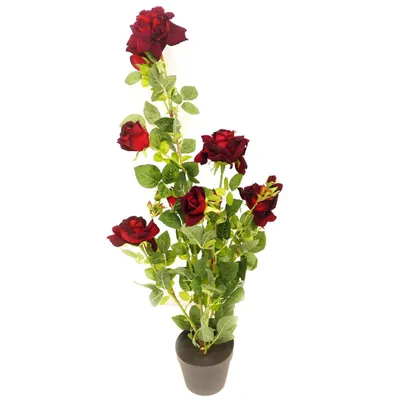 Obrázek produktu pro Umělá rostlina růžový keř v květináči Květy v tmavě červené barvě Výška 95 cm