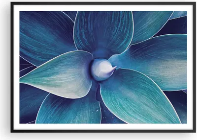 Produktbild von Gerahmtes Poster - Schwarzer Rahmen - Agave Blau Blume - 100x70 cm - Wand Bild - Wanddeko - Wandbilder - Kunstposter - Wandposter - Bilderrahmen - Bilder - Kunstdruck - P2BAA100x70-4972