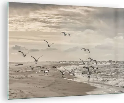 Produktbild von Bilder auf glas - Einteilig - Möwen Küste Boho - 70x50cm - Glasbilder - Wandbilder - Bilder - zum Aufhängen bereit - Wanddekoration aus Glas - Glas Bilder - Wandbild auf Glas - GAA70x50-4723