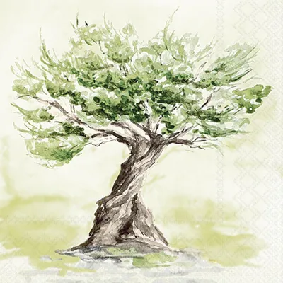 Image de Serviettes Lunch 33 x 33 cm, 3 plis, 20 serviettes, olivier Napkin 33 Olive tree