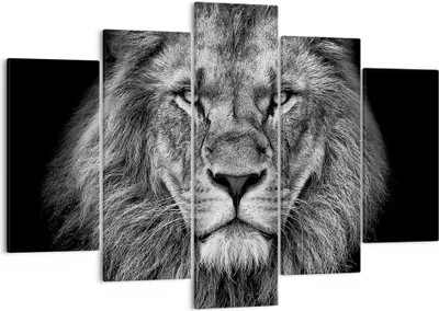 Produktbild von Bild auf Leinwand - Leinwandbild - 5 Teile - Porträt Löwe Schwarzweiß - 150x100cm - Wand Bild - Wanddeko - Wandbilder - Leinwanddruck - Bilder - Wanddekoration - Leinwand bilder - EA150x100-4494