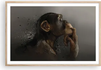 Produktbild von Gerahmtes Poster - Rahmen in heller Eiche - Schimpanse Porträt Grafik - 91,5x61 cm - Wand Bild - Wanddeko - Wandbilder - Kunstposter - Wandposter - Bilderrahmen - Bilder - Kunstdruck - P2NAA91x61-4676