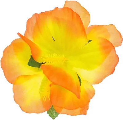 Produktbild von Hawaii Haarspange Orange Blumen