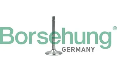 Produktbild von Borsehung B19001 Auslassventil für VW Golf IV Schrägheck (1J1) GOLF VI (5K1) Golf V Schrägheck (1K1) TOURAN (1T1, 1T2) Passat Variant (3C5)