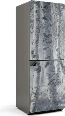 Produktbild von Nebliger Birkenwald – Magnetische Kühlschrank Abdeckung – Dekorfolie magnetisch Küche – Kühlschrank Magnet Deko – selbstklebende Magnettafel – Magnetfolie für Kühlschranktür – 70x190 cm