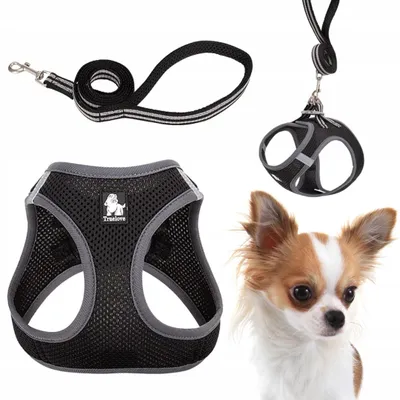 Produktbild von Truelove Mini Geschirr und Leine Set XXXS Schwarz Leicht