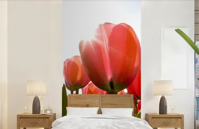 Produktbild von MuchoWow® Fototapete für Wohnzimmer oder Schlafzimmer Wandtapete Vinyl Motivtapete Blumen - Tulpen - Sonne - 120x240 cm - Hintergrundbild