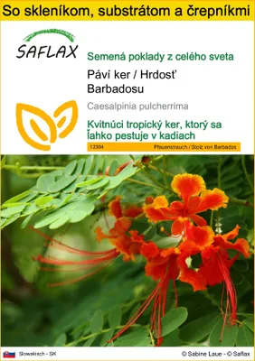Obrázok produktu pre SAFLAX Kultivačný set - Páví ker / Hrdosť Barbadosu - Caesalpinia pulcherrima - 10 Semená - S mini skleníkom, pestovateľským substrátom a 2 črepníkmi