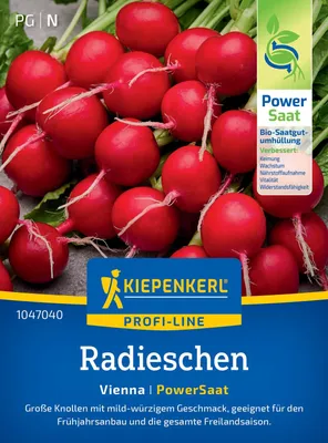 Produktbild von Kiepenkerl Radieschensamen PowerSaat Vienna F1 Raphanus sativus sativus 6-8 lfd. Meter