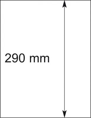 Produktbild von Lindner 802106P T-Blanko-Blätter - 10er-Packung