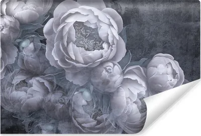 Produktbild von Muralo Vlies Fototapete Für Schlafzimmer BLUMEN Pfingstrosen Beton Vintage Br. 520cm x Hö. 318cm