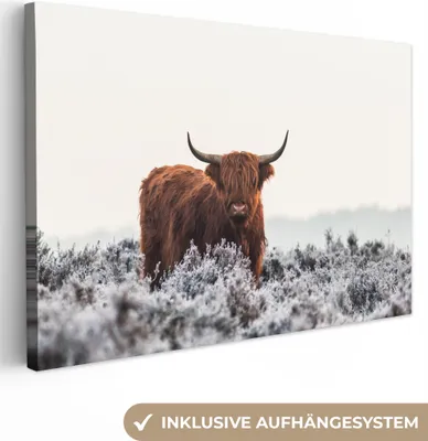 Produktbild von MuchoWow® - Leinwandbilder - Schottischer Hochländer - Tier - Natur - Weiß, Wandbild, Wanddeko Bilder Wohnzimmer, 120x80 cm