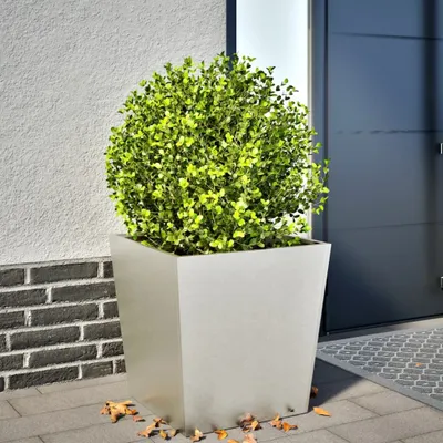 Image de Maison Exclusive - Bac à plantes 50x50x50 cm en acier inoxydable