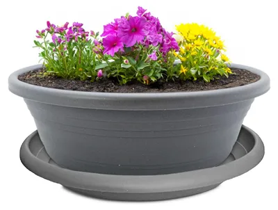 Produktbild von Pflanzkübel mit Untersetzer 25 cm Pflanzschale für aussen grau