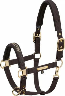 Produktbild von Eskadron Halfter GIRTH DOUBLE PIN black truffle Heritage HW 25/26, Größe:V