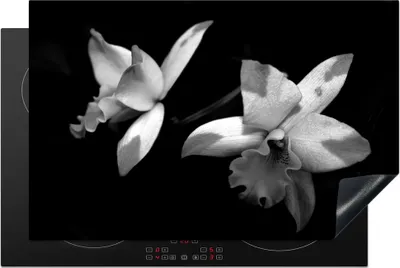 Produktbild von KitchenYeah© Herdabdeckplatte Zwei Orchideenblüten - schwarz und weiß , 81x52cm, Küche Deko, Glaskeramikkochfeld Herdabdeckung, Abdeckplatte fùr Kochfeld