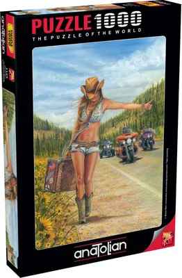 Produktbild von ANATOLIAN Puzzle American Gypsy 1000 Teile