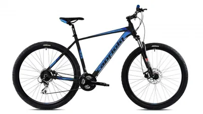 Zdjęcie produktu dla Rower górski Capriolo LEVEL 9.2 29"/24AL czarno-niebieski