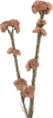 Image de Clayre & Eef fleur artificielle 6x6x58 cm plastique rose