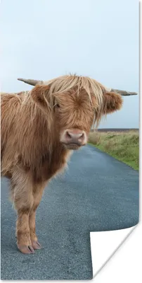 Produktbild von MuchoWow® Poster Scottish Highlander - Straße - Gras 60x120 cm - Wandschmuck