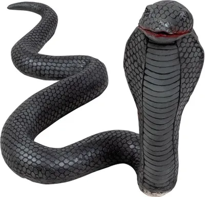Image de Cobra
